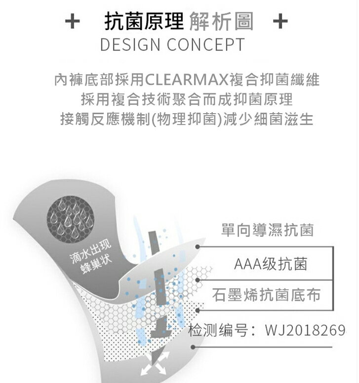 石墨烯內褲 4條裝 女三角褲 中低腰無痕內褲 抗菌仰菌內褲 女無縫內褲 櫻桃嚴選 40~80公斤可穿 4 石墨烯內褲 4條裝 女三角褲 中低腰無痕內褲 抗菌仰菌內褲 女無縫內褲 櫻桃嚴選 40~80公斤可穿 4