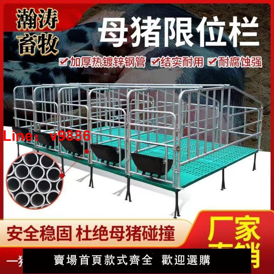 【臺灣公司 超低價】母豬定位欄限位欄加厚鍍鋅管5位10位廠家直銷養豬裝置