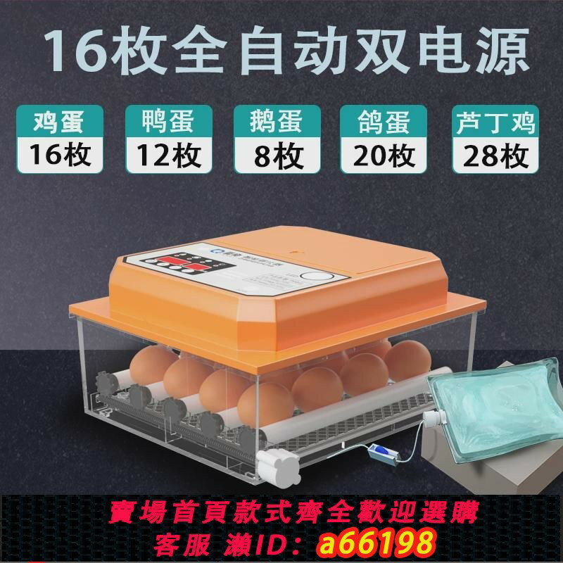 【臺灣公司 可開發票】新款【110v專用】孵化器小型家用全自動孵化機雞鴨鵝孵孵蛋器鴿