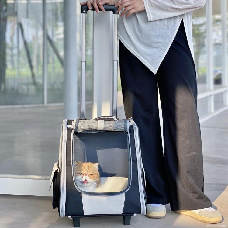 貓包外出便攜拉桿箱大號寵物背包狗夏天透氣雙肩裝兩只貓咪外帶包
