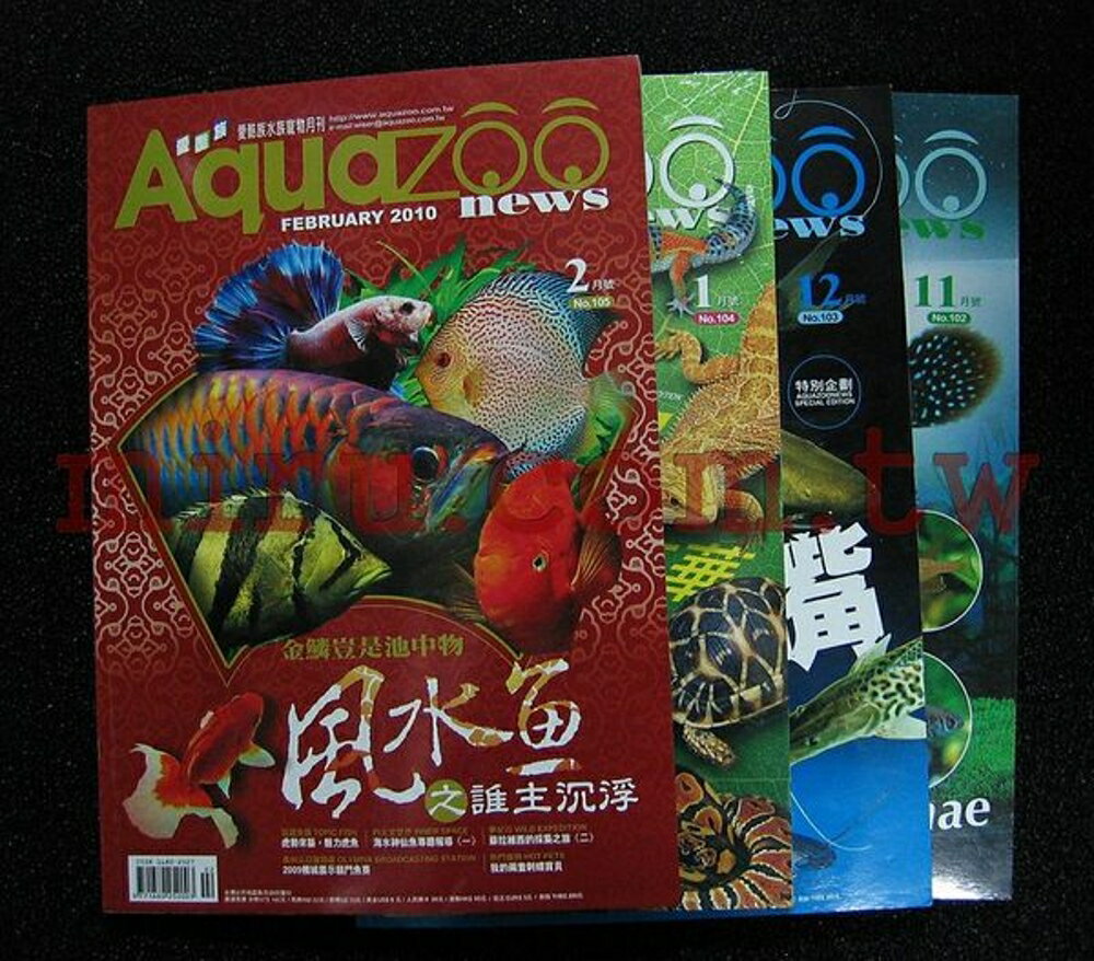 【西高地水族坊】愛酷族水族寵物AQUAZOO 月刊