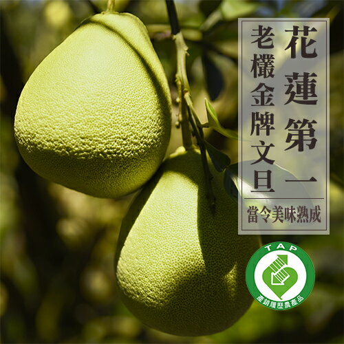 《預購專案》9/12開始配送【鮮果日誌】瑞穗金牌文旦(10台斤禮盒裝)