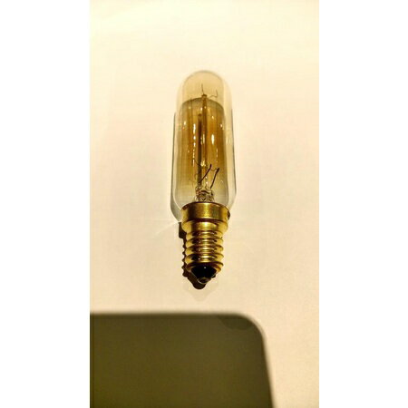 愛迪生燈泡 復古燈泡 T20 直繞絲 E14 25W 40W 220V 復古藝術古董工業風燈具 鎢絲白熾 可調光