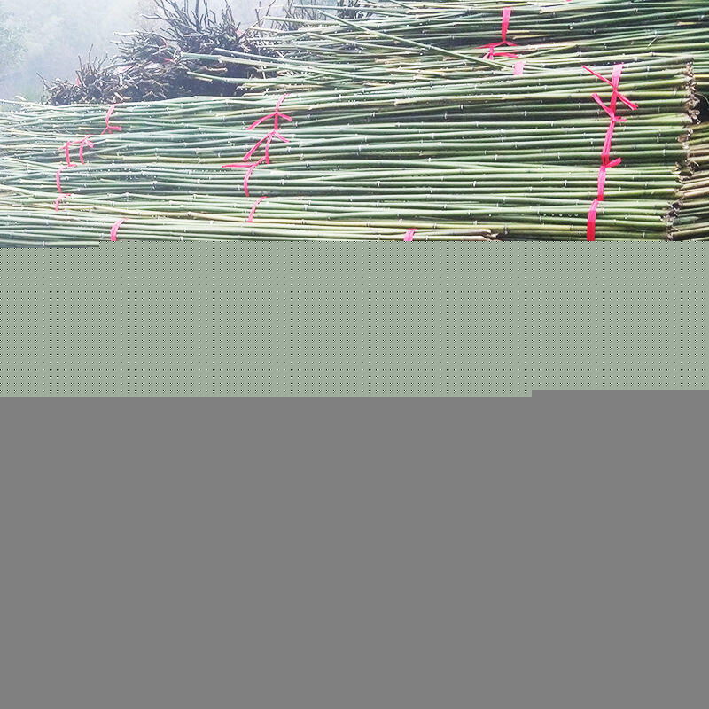 【滿500出貨】菜園竹竿種菜黃瓜爬藤支架彩旗桿小竹子棍豆角架菜園搭架柵欄裝飾【甄選優品】 2