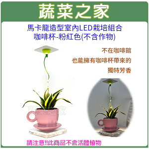 【蔬菜之家004-J03】馬卡龍造型室內節能LED栽培組合-咖啡杯(不含作物)-粉紅色