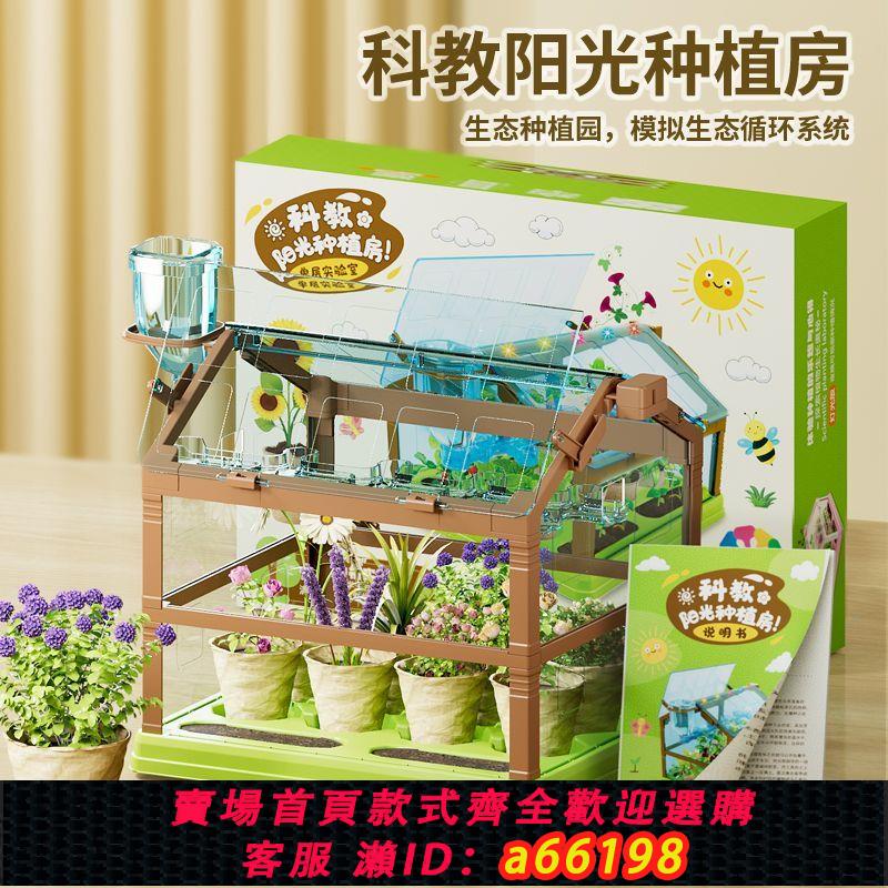 【臺灣公司 可開發票】科教種植陽光房室內植物觀察盆栽科學實驗學生種菜花水果六一禮物