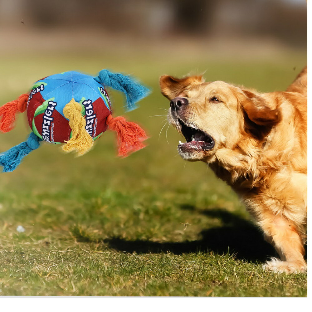 美麗大街 【112110332A】 狗狗玩具彩虹扭扭糖果玩具狗狗磨牙耐咬發聲玩具 2 美麗大街 【112110332A】 狗狗玩具彩虹扭扭糖果玩具狗狗磨牙耐咬發聲玩具 2