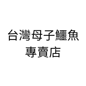 台灣母子鱷魚專賣店