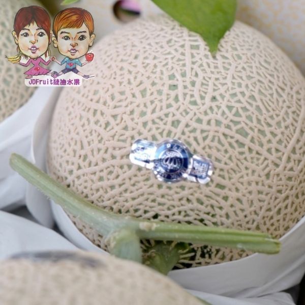 日本靜岡縣 皇冠哈密瓜