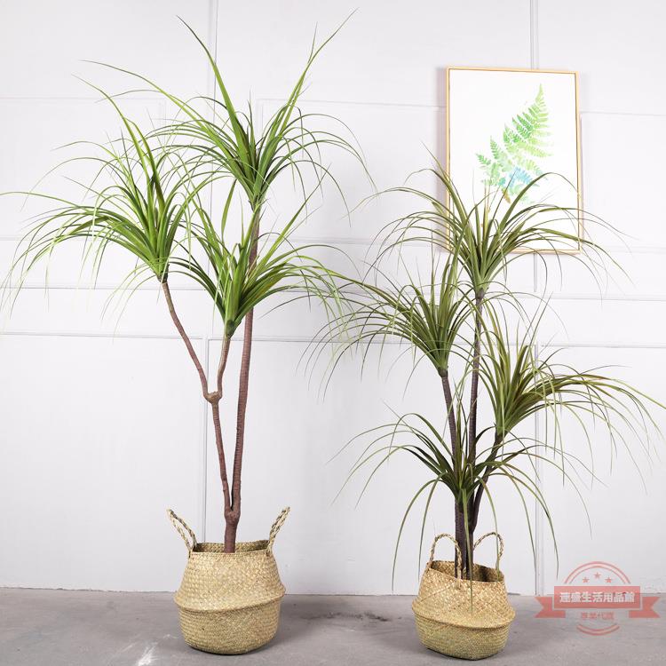 模擬馬尾鐵樹 室內假巴西龍血樹綠植盆栽客廳裝飾盆景