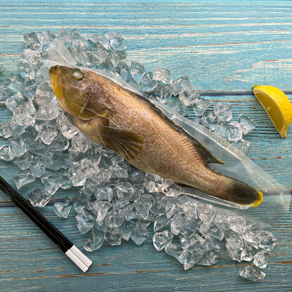 【亮生鮮】澎湖現流中勾石斑/野生鮮魚 310g±2%