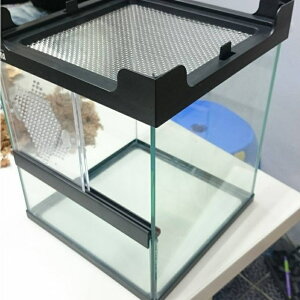 台灣HIROTA-宣龍【RP-2025】 爬蟲箱 寵物缸 (20*20*25cm) 小型動物專用飼養箱(堆疊+透氣)