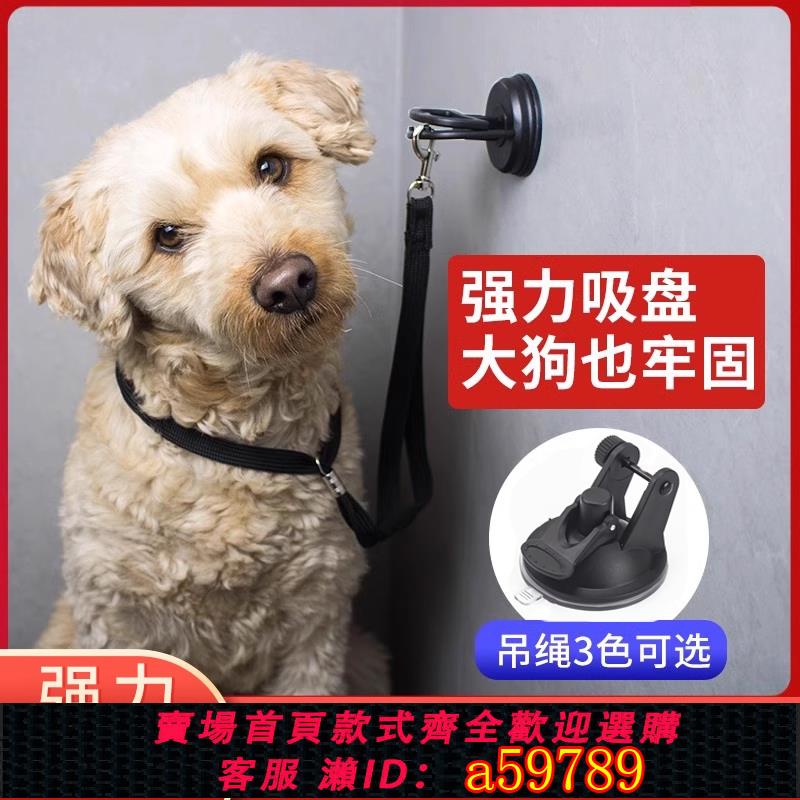 【臺灣公司 可打統編】寵物洗澡固定器剃毛拴狗綁狗繩美容桌吊繩貓咪洗澡神器牽引繩吸盤