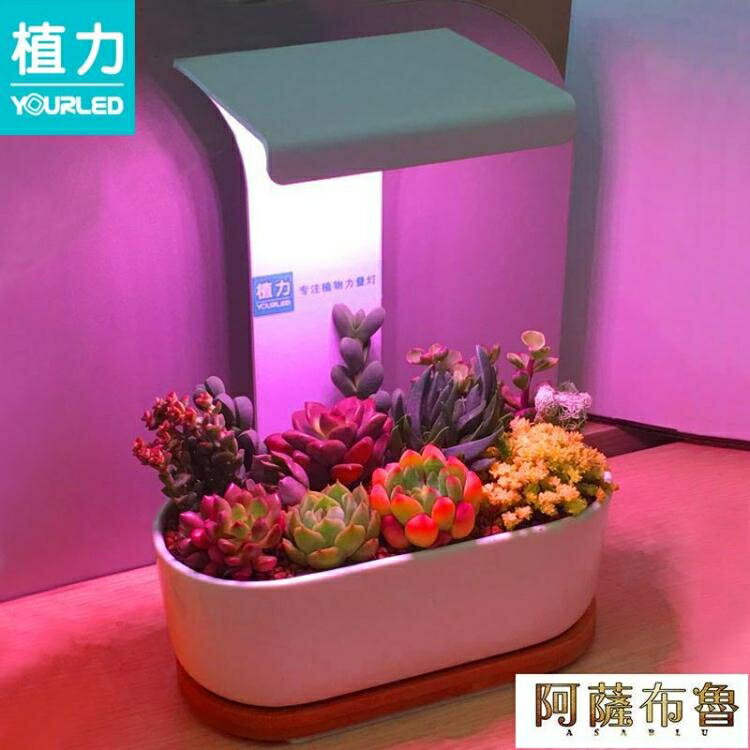 商品比價 植物燈植力 桌面補光燈 多肉植物led全光譜上色usb家用室內生石花肉錐新年鉅惠台灣現貨 21年04月價格推薦