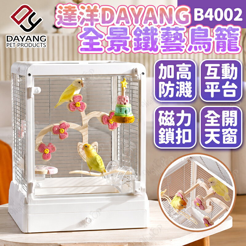 達洋鳥籠 全景鐵藝透明鳥籠 全開天窗鳥籠 達洋鳥籠 豪華鐵藝景觀籠 全景鳥籠 鐵絲籠 B4002【260901】