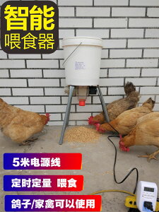 鴿子用品用具自動喂食器信鴿食槽智能定時養雞自動喂食器喂雞神器