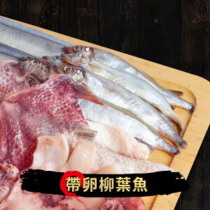 『萬國海宴』帶卵柳葉魚