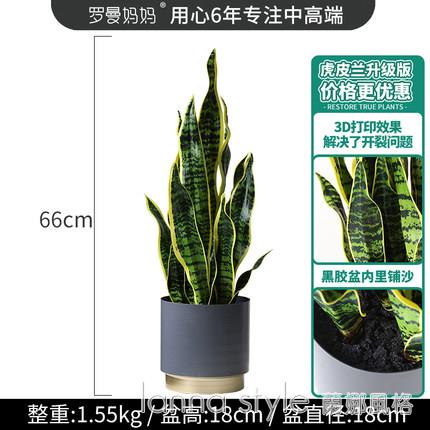 現代輕奢仿真植物金邊虎皮蘭盆栽室內辦公室前臺桌面裝飾綠植擺件