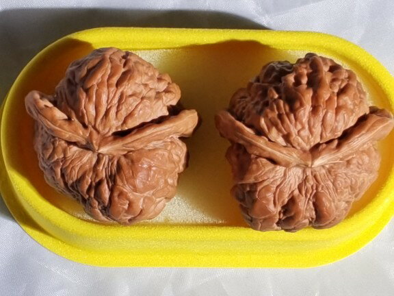 文玩核桃 三角白獅子 三角白狮子核桃-三角白狮子核桃促销价格、三角白狮子核桃品牌- 淘宝