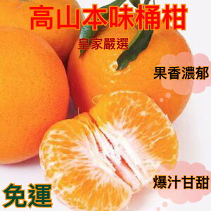 高山香甜無籽桶柑特選中果10斤/20斤箱【皇家果物】免運