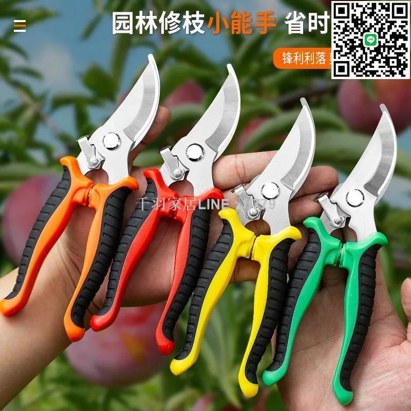 【千羽家居】花剪枝園藝剪刀修枝剪省力修剪樹枝果樹竹簽園林花卉專用花藝剪子