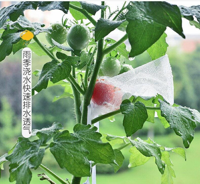 【雙拉繩紗袋-單入】水果套袋 紗網袋 雪紗網 防蟲網袋 水果網袋 紗袋 套袋 小物袋 整理袋 雪紗袋 婚禮 4