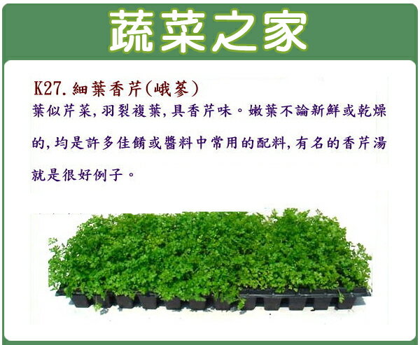 【蔬菜之家】大包裝K27.細葉香芹種子(峨蔘)45克