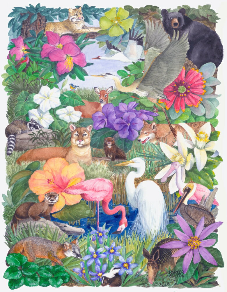  Flora  And Fauna Poster Print By Parker Fulton 12 X 15