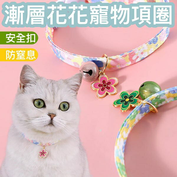 『臺灣x現貨秒出』漸層花花安全扣項圈 寵物裝扮 寵物項圈 貓咪項圈 貓項圈 寵物頸部裝飾