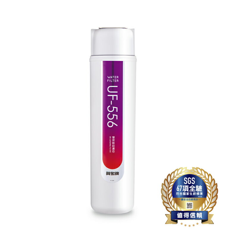 賀眾牌 雙效除鉛淨水器 含基本安裝 /組 UP-106【CUBE卡最高10%回饋】