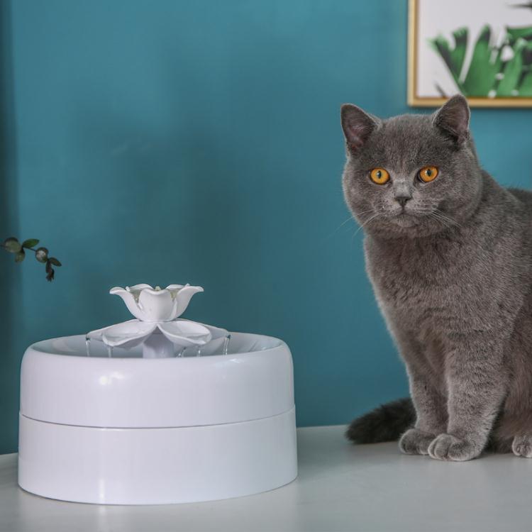 免運 寵物飲水器 貓咪飲水機流動自動循環貓飲水機喝水器過濾木棉花
