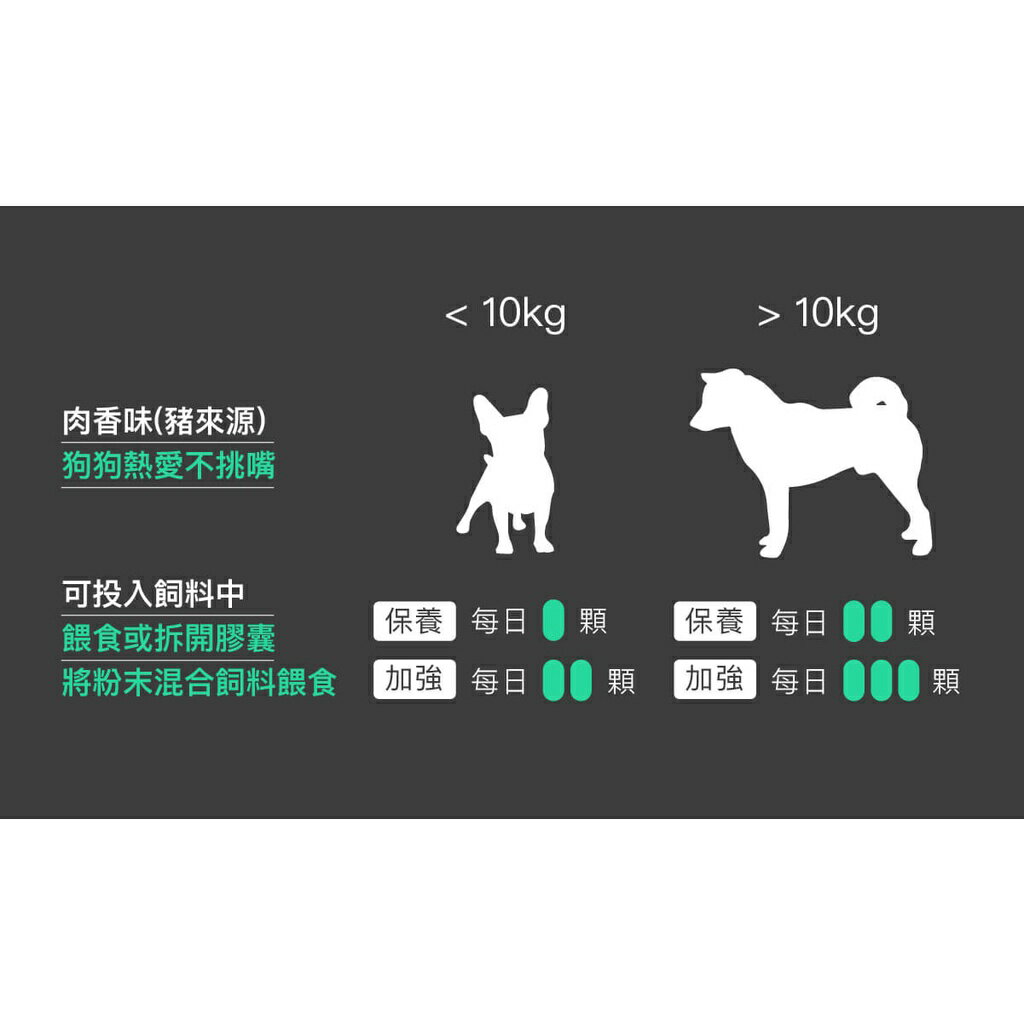 🔥買大送小🔥木入森 犬寶膚立好 30入/60入【授權販售】異位性皮膚炎機能營養複方 幫助皮膚健康 營養品 7