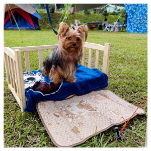美麗大街 夏天可拆洗小型中型大型犬泰迪金毛寵物床【1101029087】