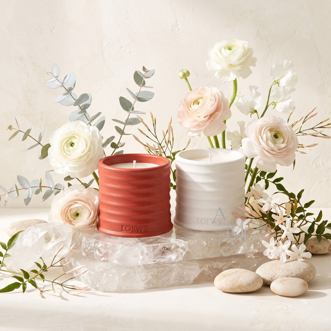 【LOEWE】 香氛蠟燭 170g 番茄葉 奧勒岡｜換季推薦⚡專櫃 品牌保養 夏季彩妝 品牌香氛｜APP下單點數最高16%回饋