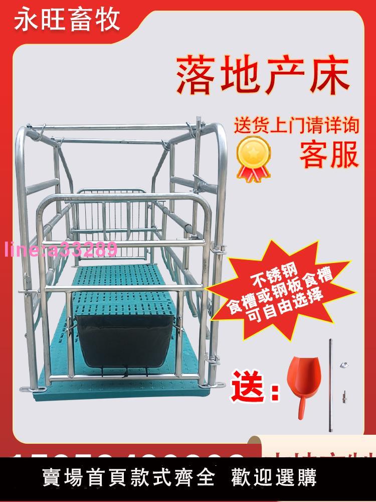{可開發票}母豬產床落地式產保一體帶漏糞板定位欄加厚2.5冷熱鍍鋅定製產床