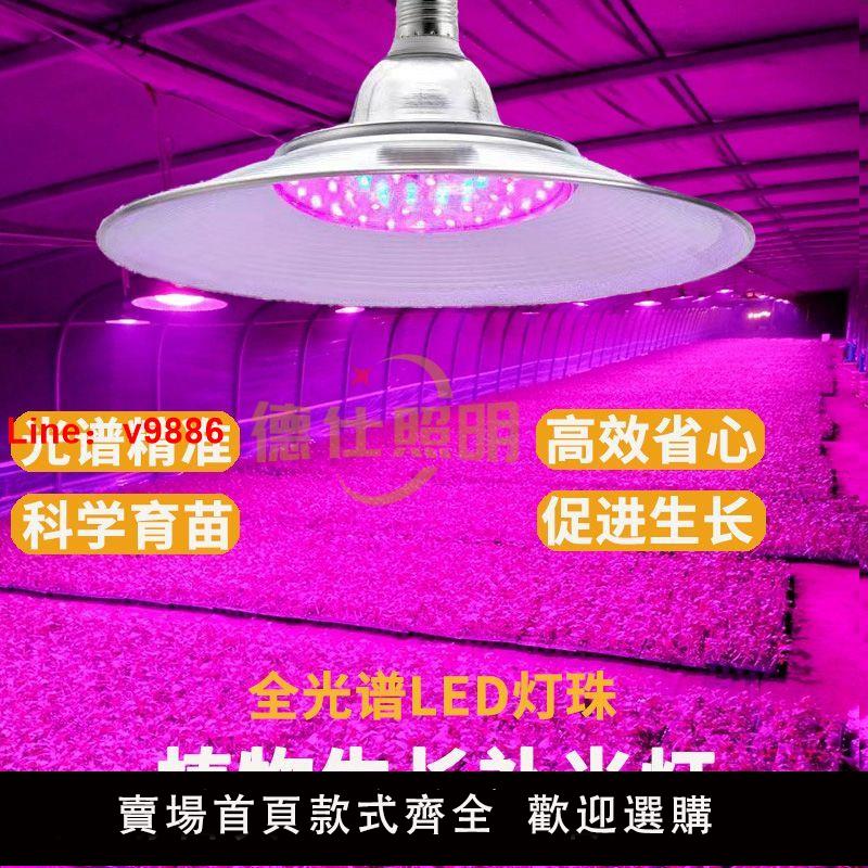 【臺灣公司 超低價】全光譜led多肉補光燈家用室內綠植仿陽光大棚植物專業級植物補光
