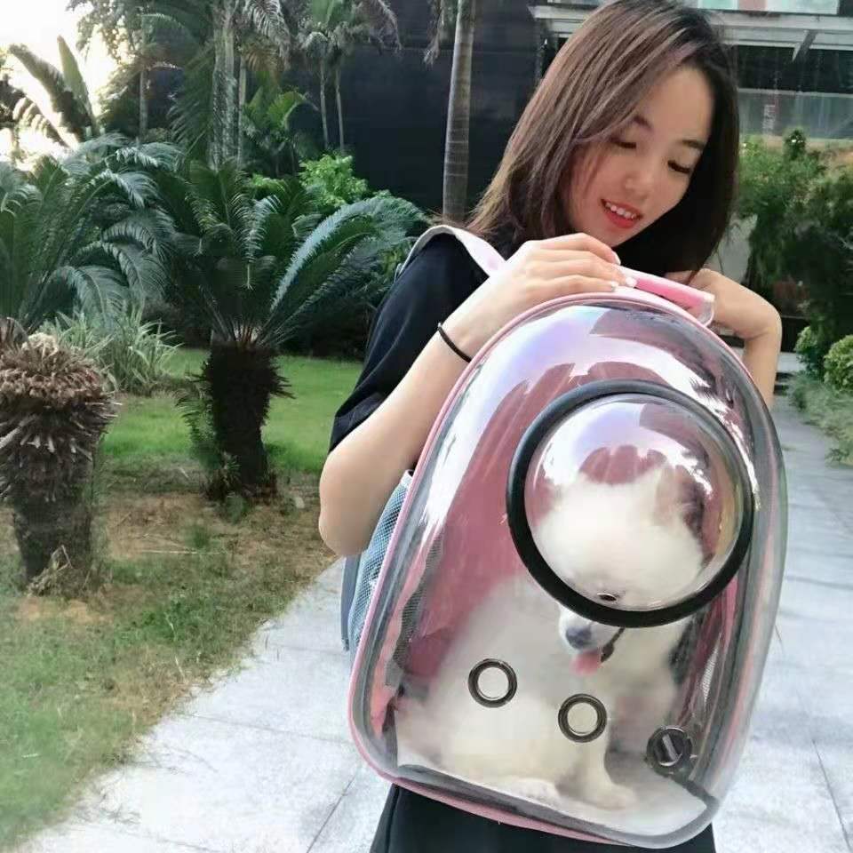寵物包雙肩包太空艙貓包大容量狗包透氣背包貓咪包外出便攜胸前包