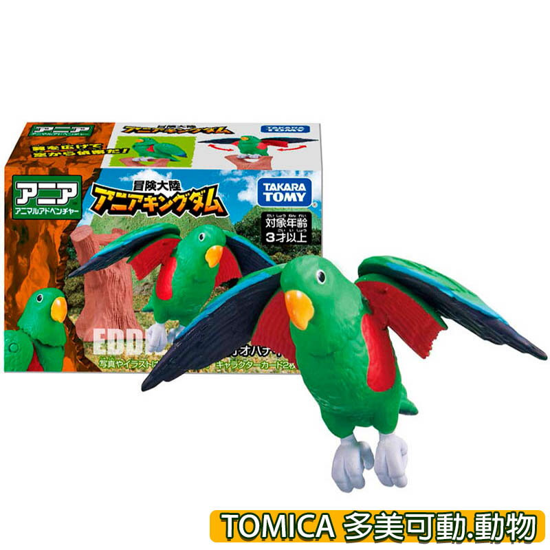 【Fun心玩】AN90200 正版 冒險王國 鸚鵡 Eddie TOMICA 多美動物 ANIA 可動 動物 模型 玩具
