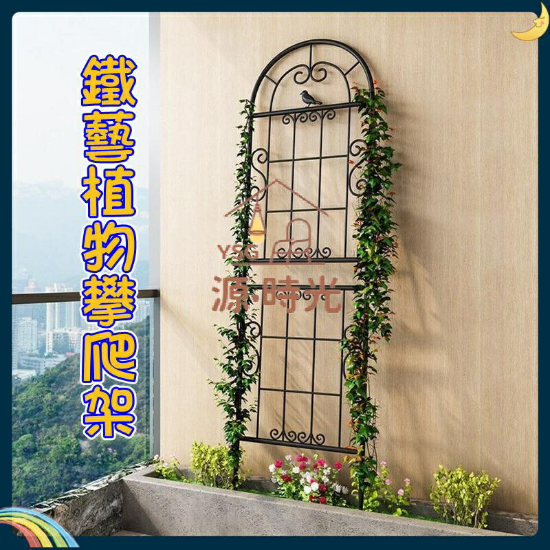 免運 花架 爬藤架 固定支架 園藝爬藤架薔薇月季種植花園柵欄戶外花架支撐簡約鐵藝植物攀爬架 特價出 可開發票