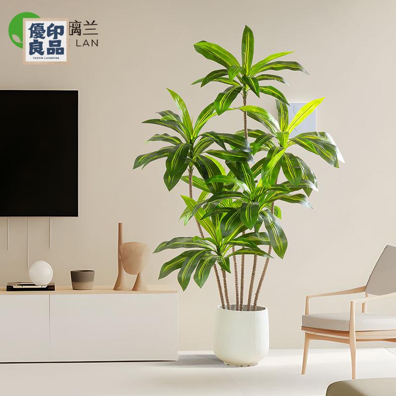 免運 工廠現貨 模擬樹 模擬綠植 仿真植物 裝飾假樹 琉璃蘭大型模擬綠植巴西鐵盆栽室內客廳高階擺件裝飾落地式假綠植免運 工廠現貨 模擬樹 模擬綠植 仿真植物 裝飾假樹免運/可開發票 工廠直銷 特價出 y5418