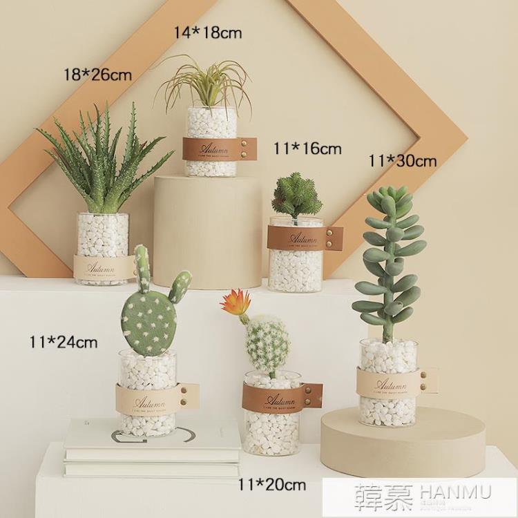 北歐ins模擬多肉植物盆栽擺件家居客廳擺設綠植裝飾仙人掌小盆景 免運開發票