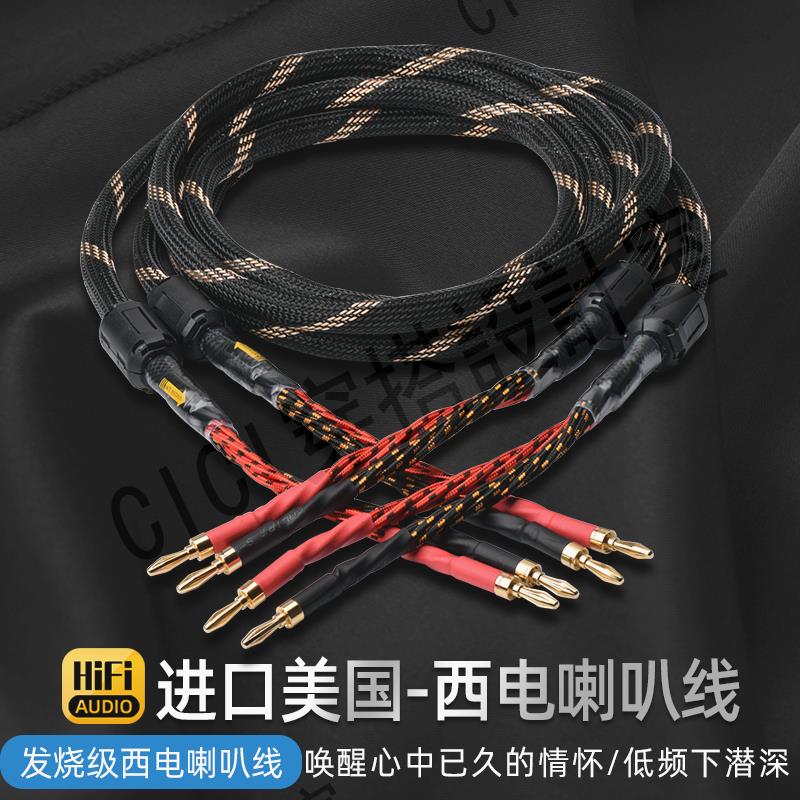 美國西電喇叭線進口純銅膽機音響香蕉頭Y插發燒音箱喇叭線【亞德機械五金家居】
