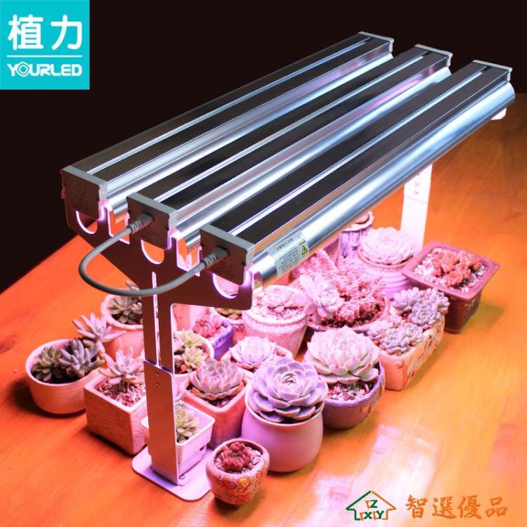 植物補光燈 植力【九排植物燈】全光譜led多肉補光上色花卉育苗生長室內家用 快速出貨