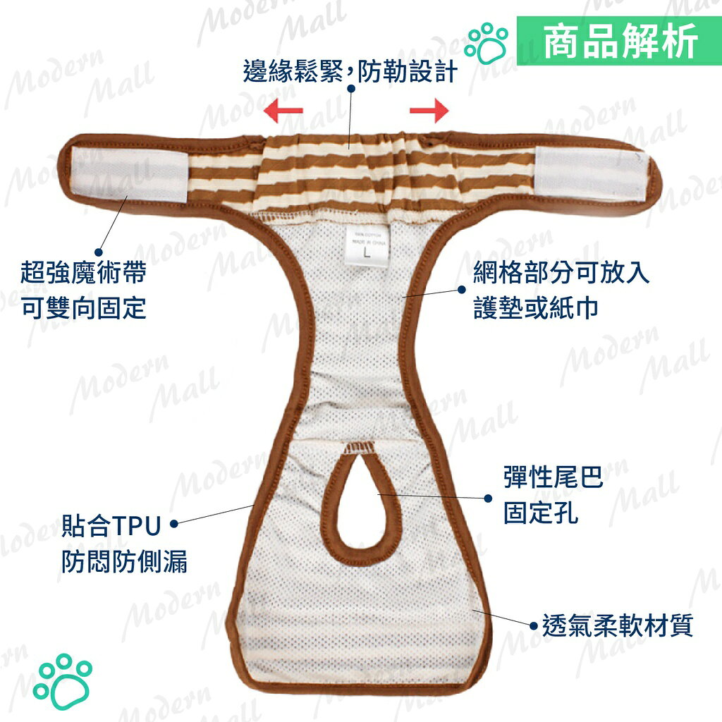 狗狗生理褲【Ｎｅｗ舒適新款💎免運現貨】寵物生理褲 狗生理褲 狗內褲 寵物內褲 不外漏 可更換 防感染 5