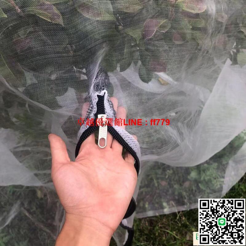 【卓越優選館】防鳥網 40目楊梅網罩蓮霧網果樹防鳥防蟲防果蠅網櫻桃樹羅幔大棚專用網