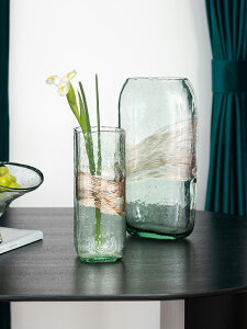 南十字星 現代簡約透明玻璃花瓶氣泡ins直筒插花水培客廳裝飾擺件