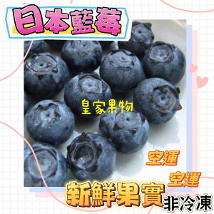 日本空運新鮮藍莓/當季現採/原裝6盒/原裝12盒/6入精緻禮盒裝【皇家果物】低溫免運