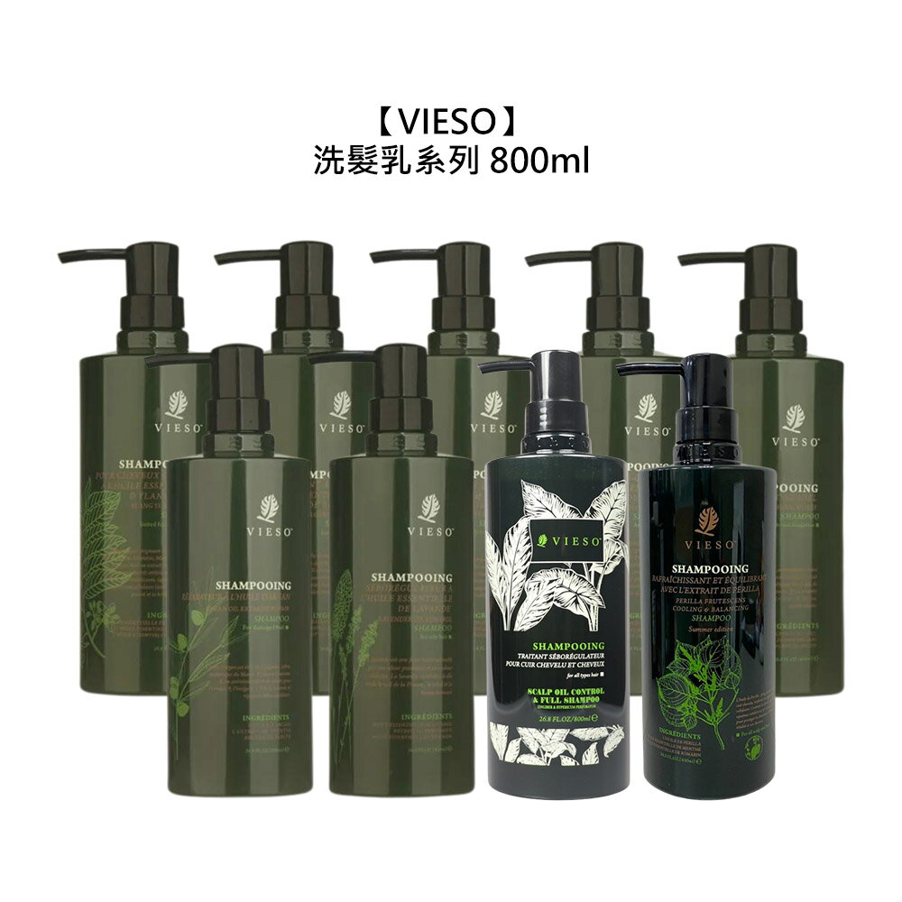 美髮沙龍 VIESO 法國植萃 洗髮精 800ml 保濕 控油 頭皮屑 敏感 毛躁 受損 護色 頭皮調理 公司貨