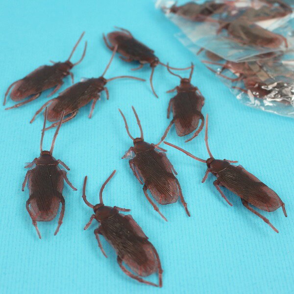 假蟑螂 假小強 仿真蟑螂 整人蟑螂玩具/一袋12包入(一包4隻)共48隻入(促10)CF108082【領券滿額再折千12/31止】 2