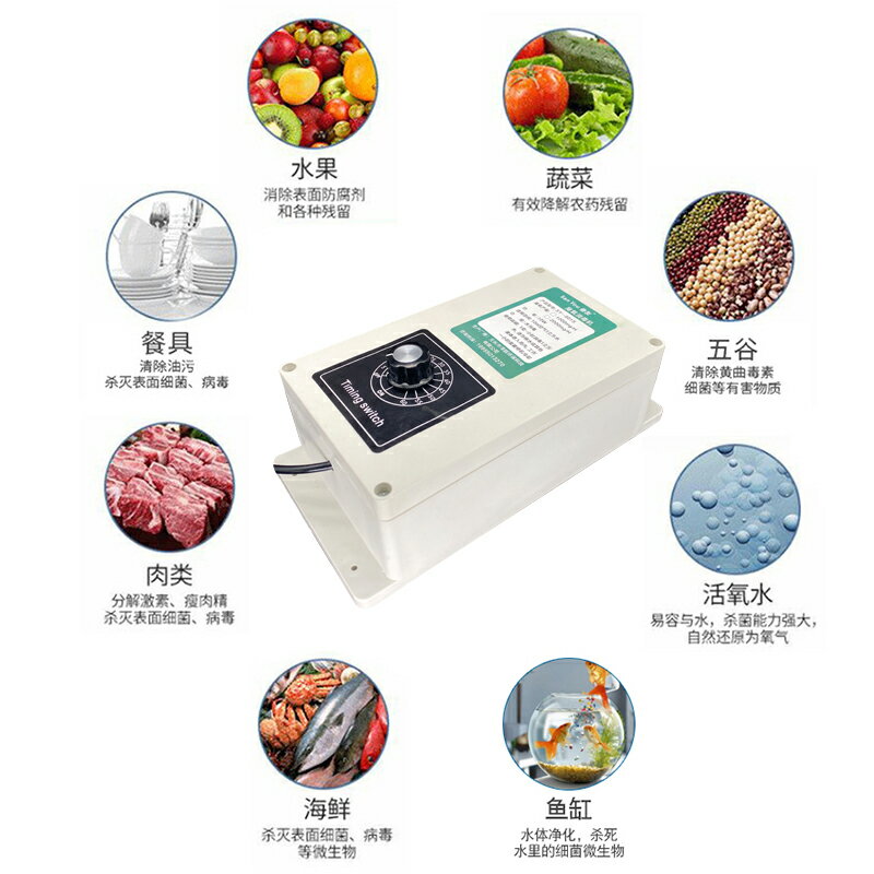 果蔬消毒機家用臭氧發生器活氧消毒機食材水果凈化除味魚缸殺菌